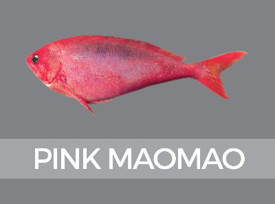 pinkmaomao-661